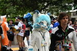 DSC_6510.JPG